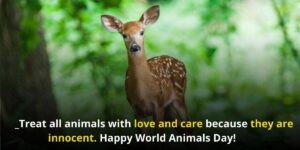 International Animal Day 2021
